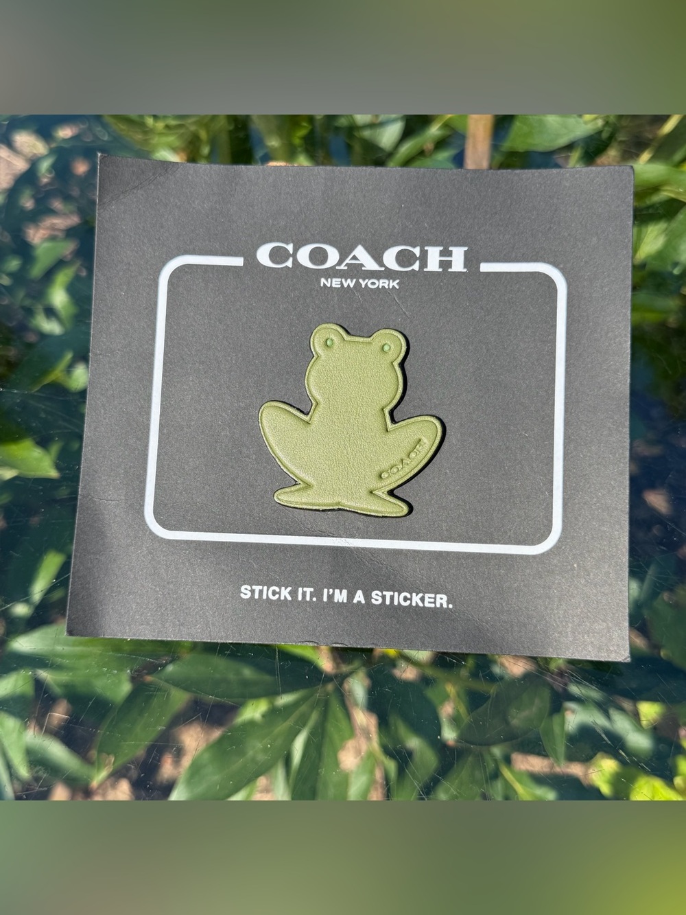 New Coach Green Leather Frog Sticker Decal 24048